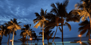 Sunset view over palm trees and ocean in Fiji