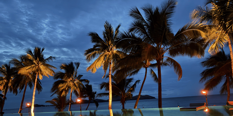 Sunset view over palm trees and ocean in Fiji